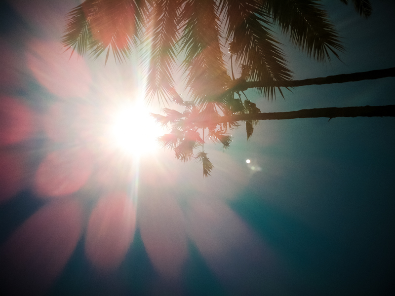 Du soleil © 2012 Jessica VALOISE